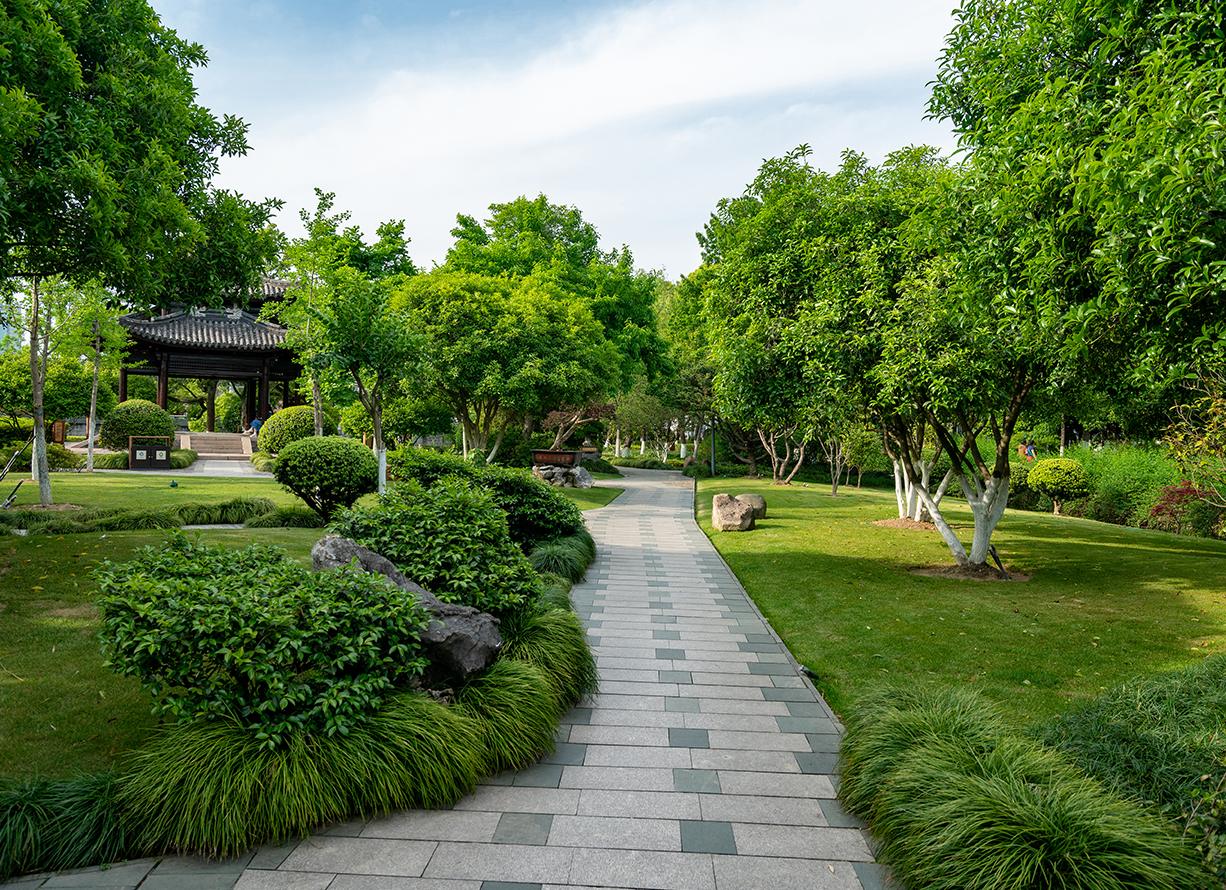 Maxvel residency highlight